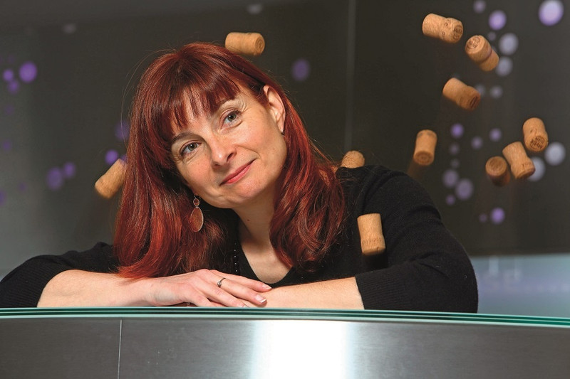 La Maison Vitteaut-Alberti à Rully Image 1