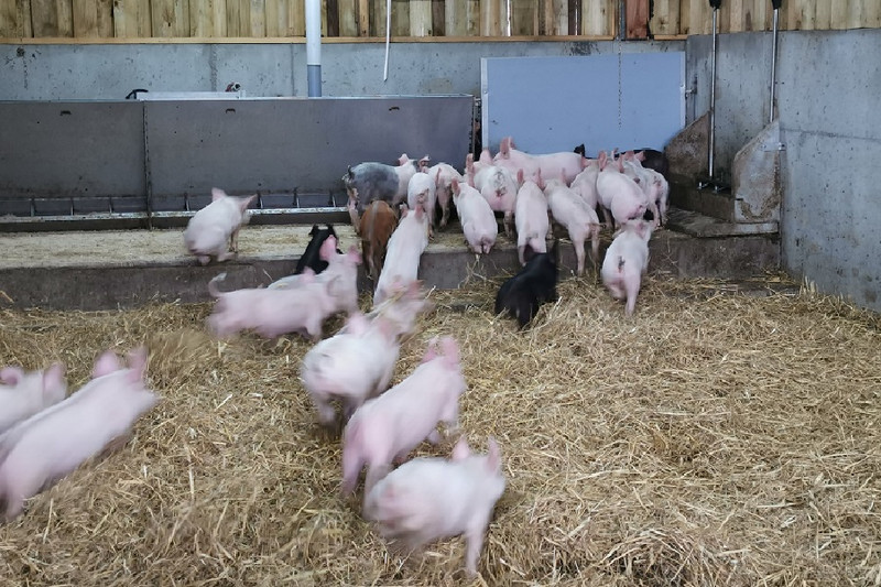 La Ferme de Chaux à Matour Image 2