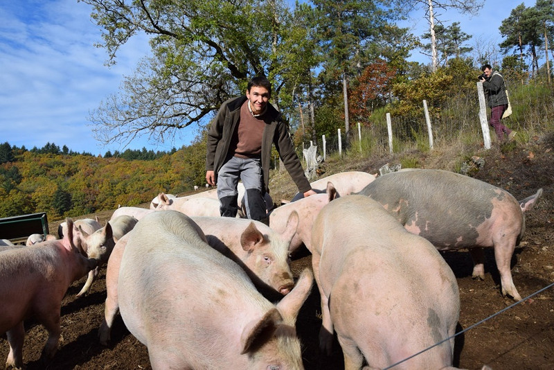 EARL de Visigneux à Lucenay-L’Evêque Image 1