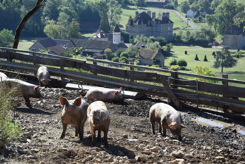 EARL de Visigneux à Lucenay-L’Evêque Image 2