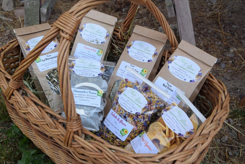 FLOR’ALINE à Curgy Image 2