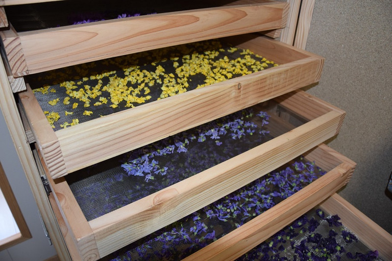 FLOR’ALINE à Curgy Image 3