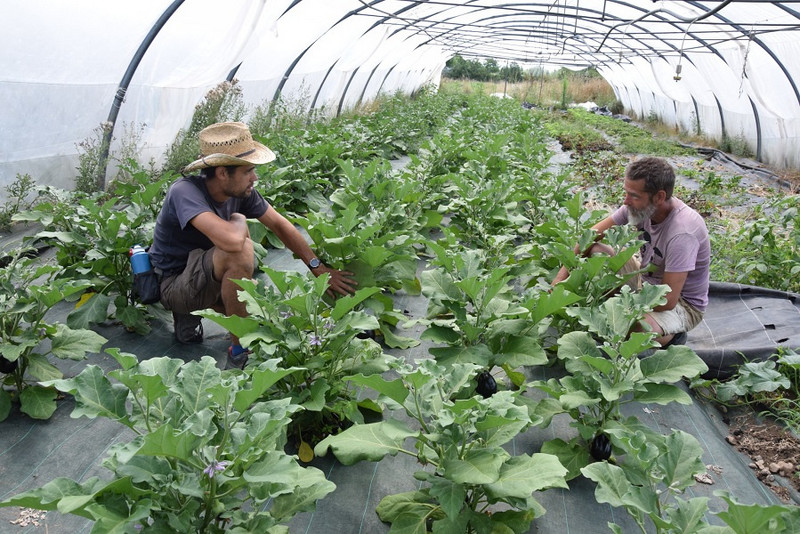 Les Champs du Loup à Dracy-Saint-Loup Image 1