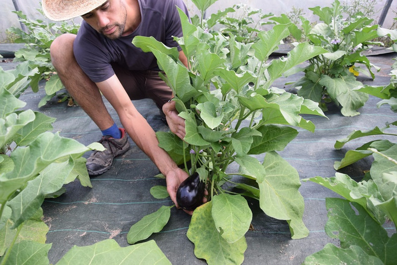 Les Champs du Loup à Dracy-Saint-Loup Image 3