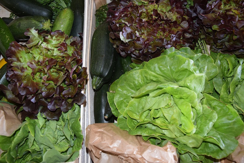 Les Champs du Loup à Dracy-Saint-Loup Image 5