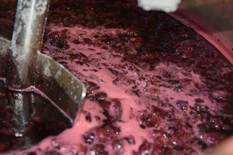 Les Confituriers du Morvan à La Celle-en-Morvan Image 1