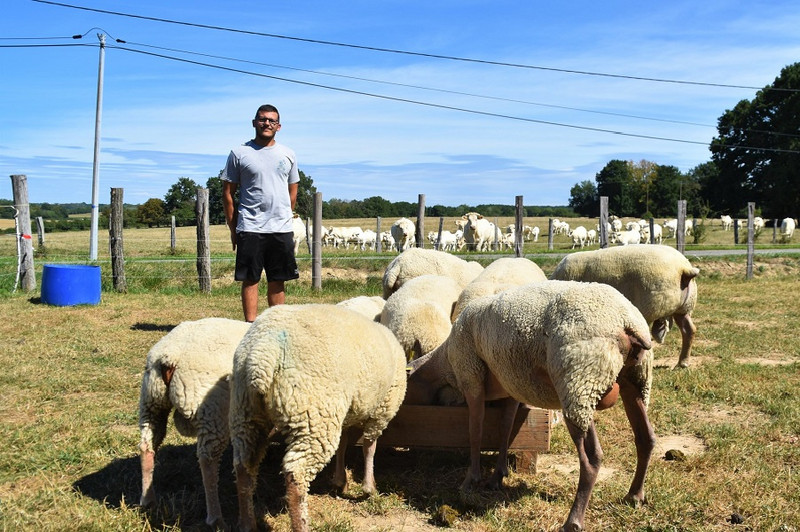 GAEC du Charolais Bressan à Bouhans Image 1