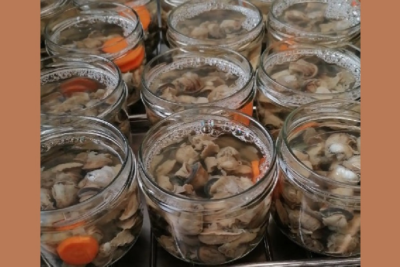 Les Escargots d’Amandine à La Chapelle-Thècle Image 2