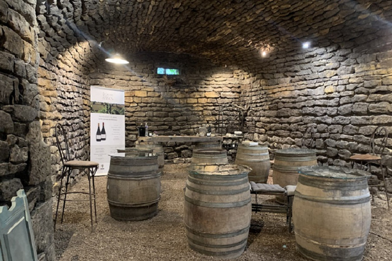 Domaine de La Roche des Bancs à Mailly Image 2