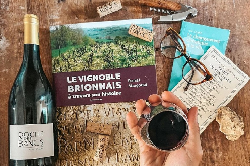 Domaine de La Roche des Bancs à Mailly Image 4