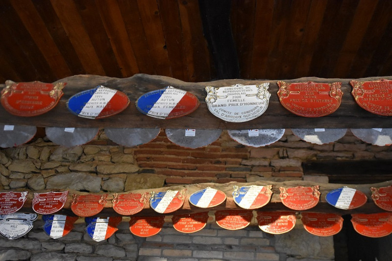 Lacour des Gourmands à Saint-Vincent-des-Prés Image 3