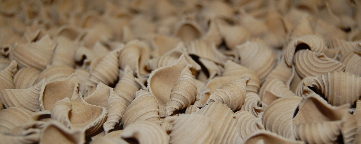 Le Moulin de Corfeuil à La Tagnière Image 1