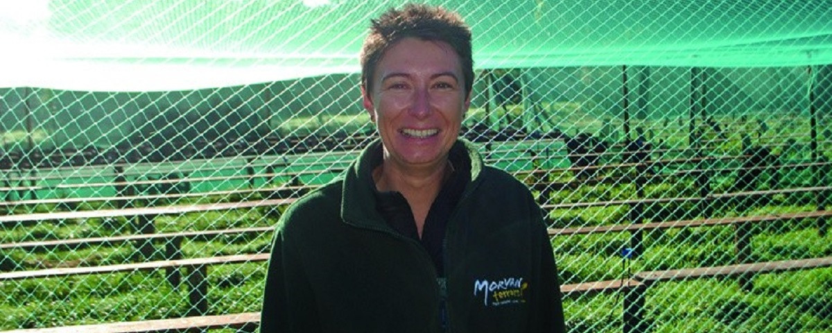 L'Escargot Morvandiau à Barnay-Dessus Image 1