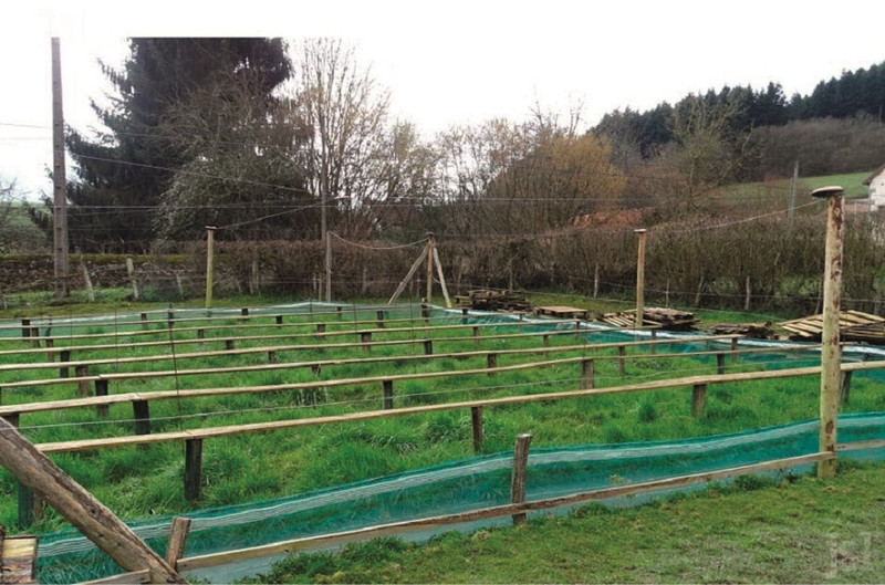 L'Escargot Morvandiau à Barnay-Dessus Image 2