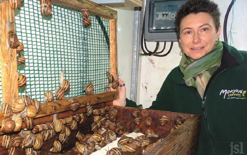 L'Escargot Morvandiau à Barnay-Dessus Image 3