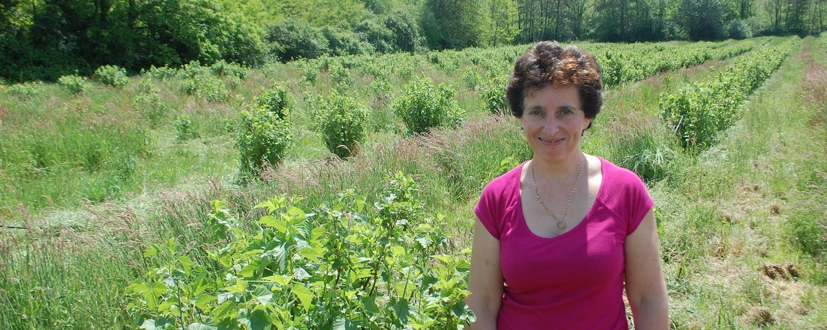 Le Jardinier Glacier (SORBIOP) à Saint-Etienne-en-Bresse Image 1