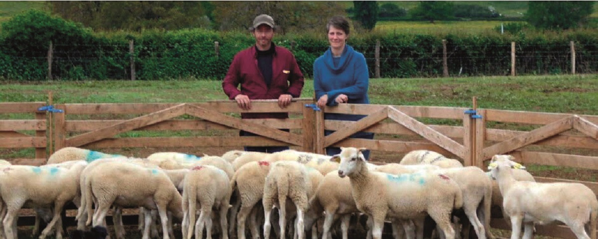 Bergerie Les Sonnailles à Sainte-Hélène Image 1