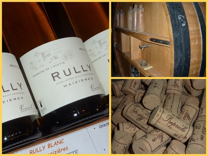 Le Domaine de l’Écette, Vincent Daux à Rully Image 3