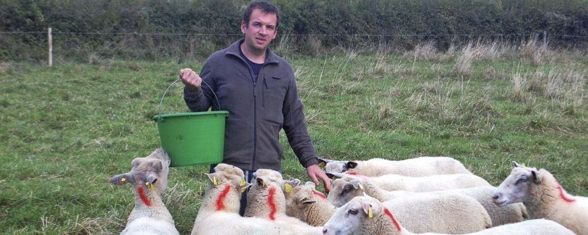 Ferme de la Goutteuse à Saint-Boil Image 1